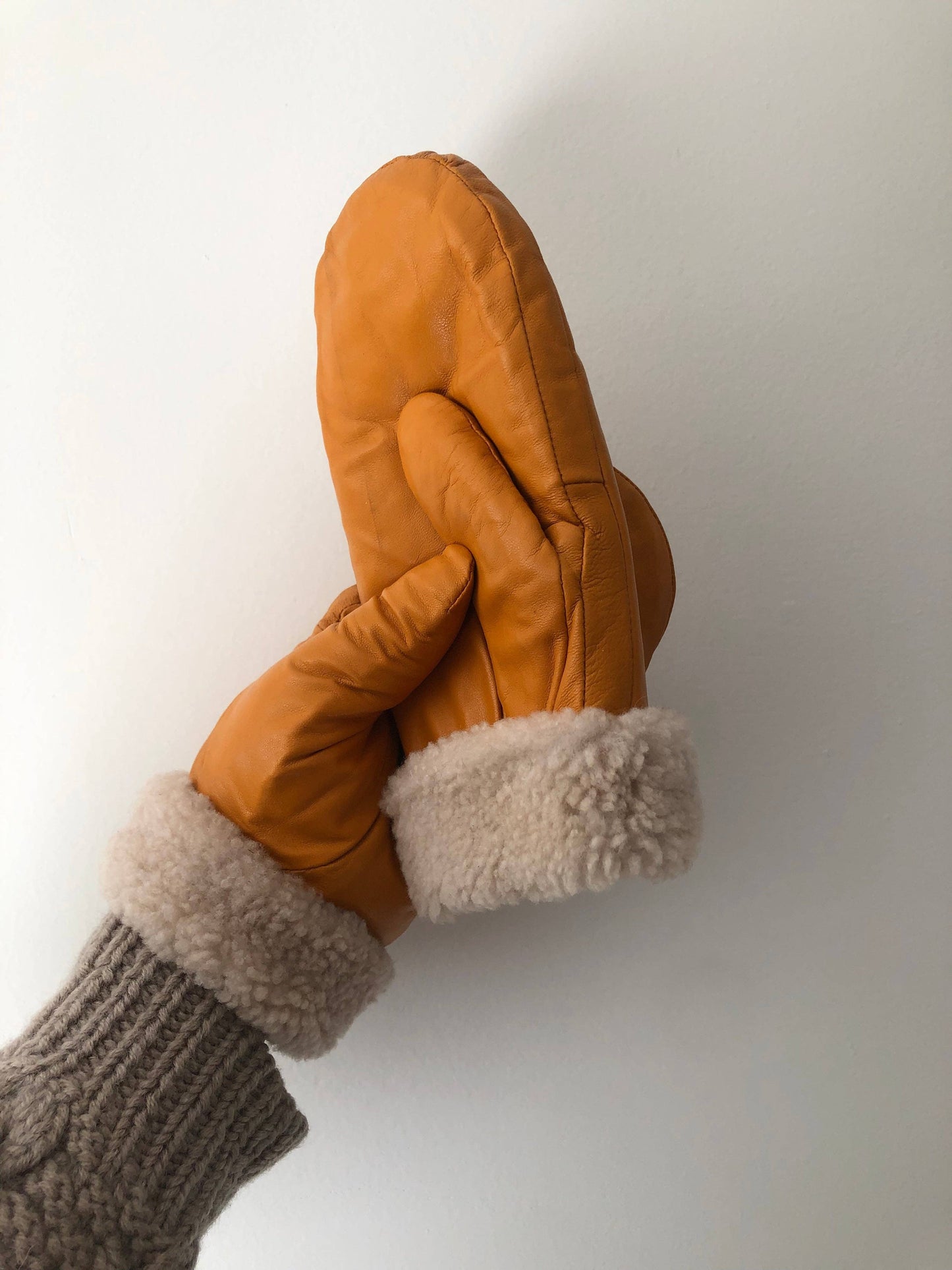 Leather Shearlings Mittens