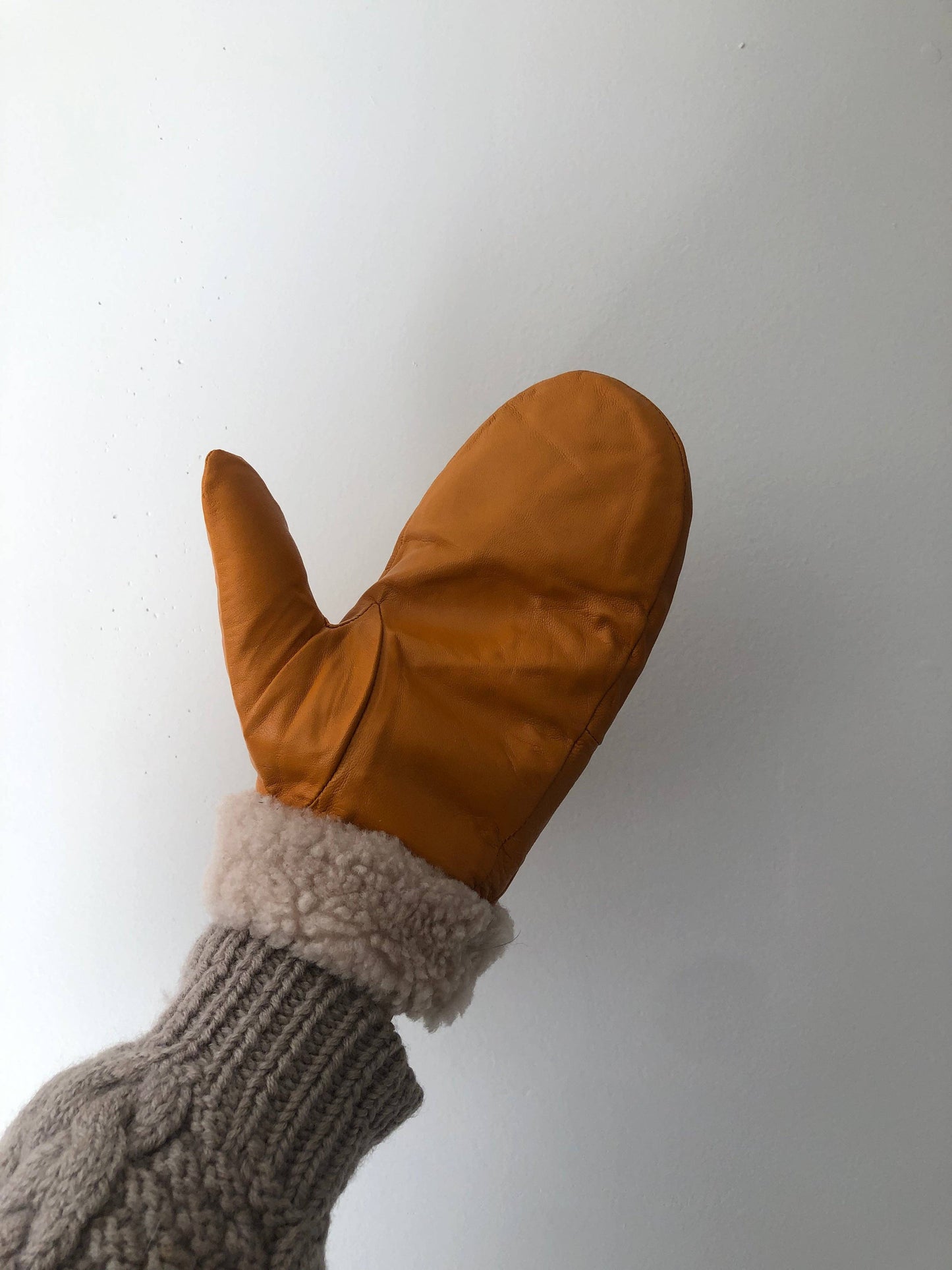 Leather Shearlings Mittens
