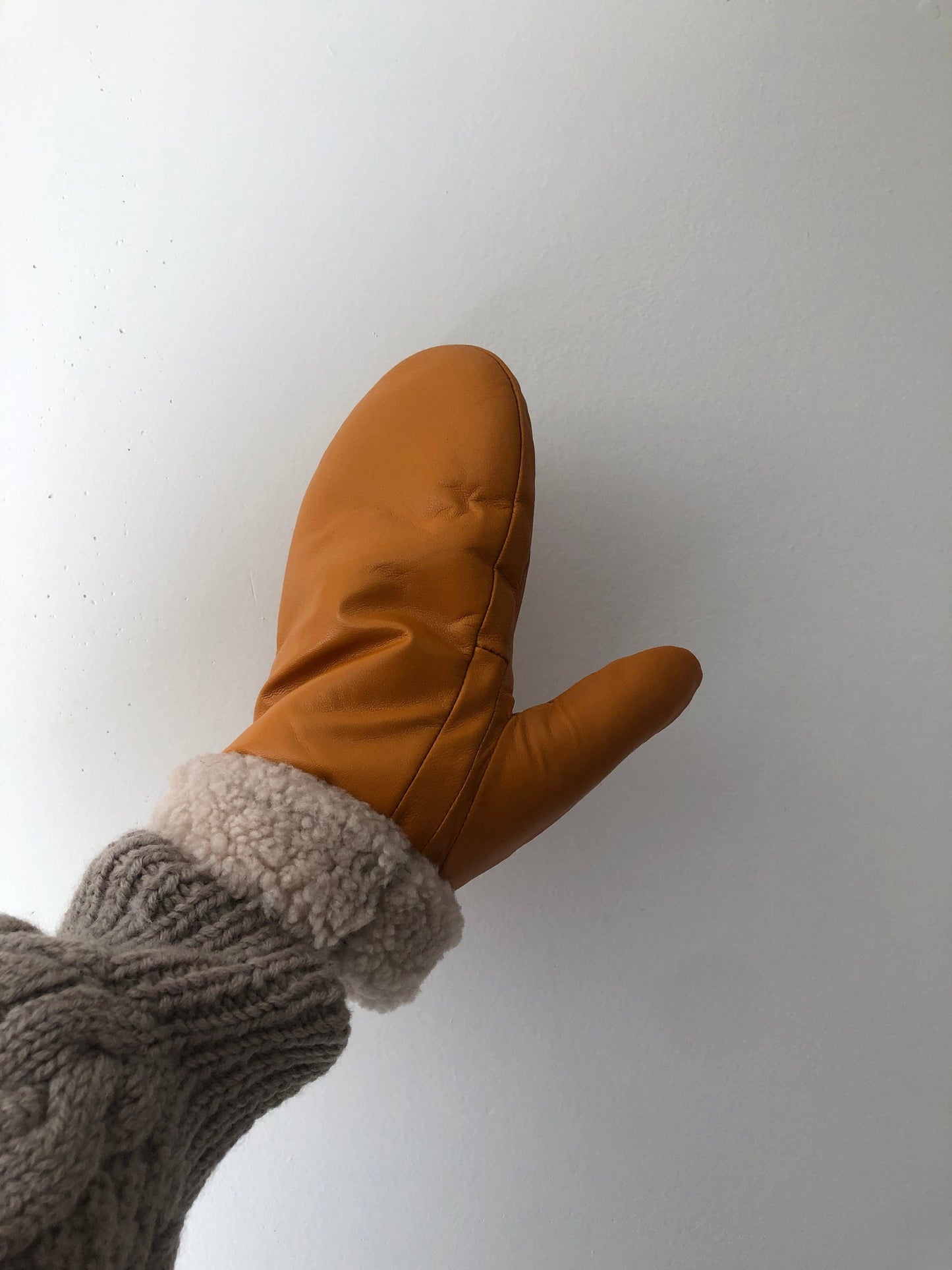 Leather Shearlings Mittens