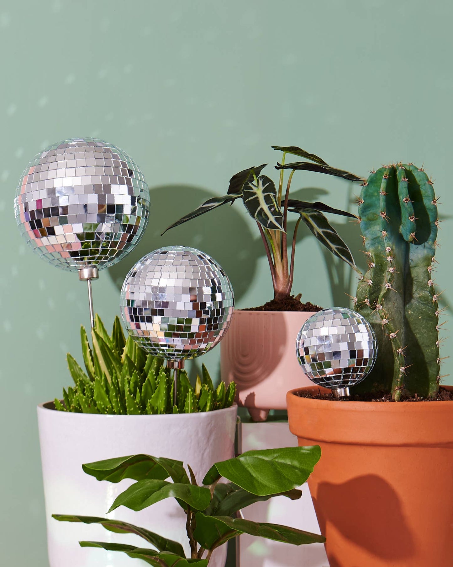 Disco Ball Plant Decor
