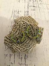 Earrings by Bird of Passage Jewelry