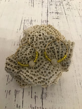 Earrings by Bird of Passage Jewelry
