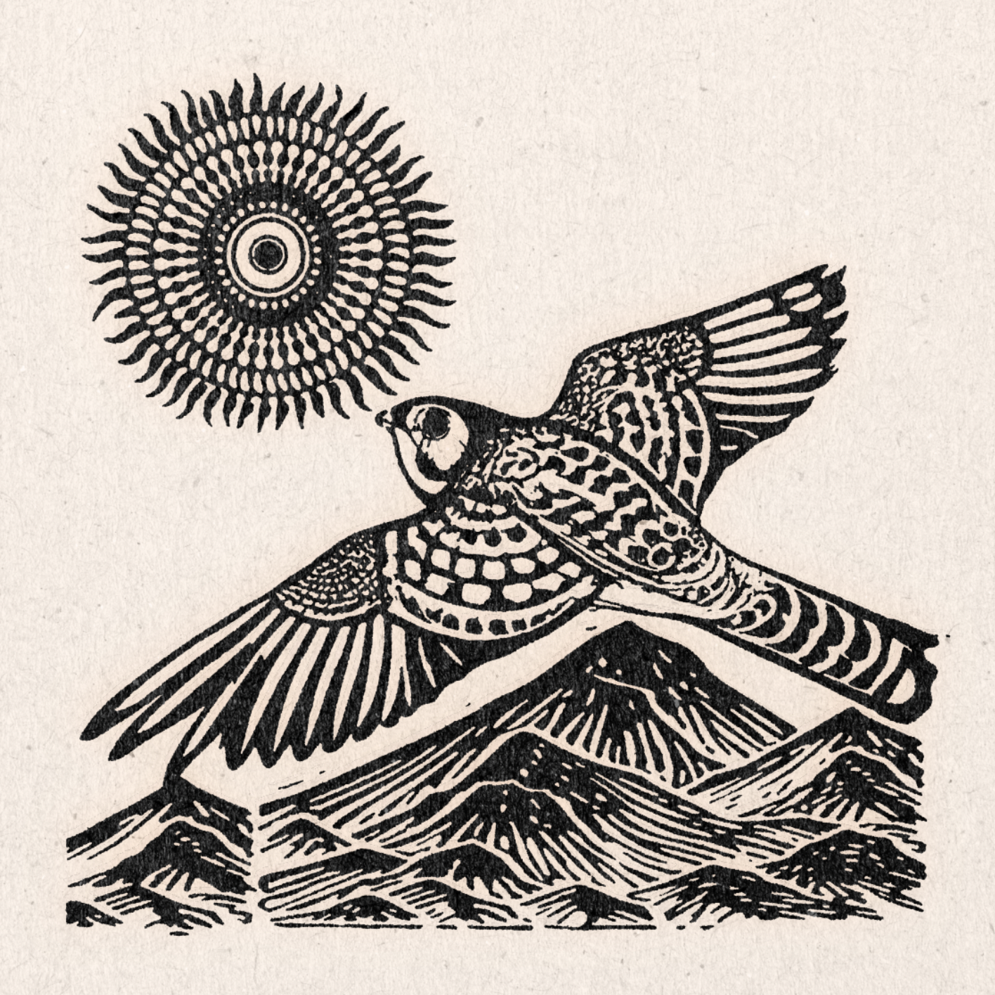 'Taking Flight' Print