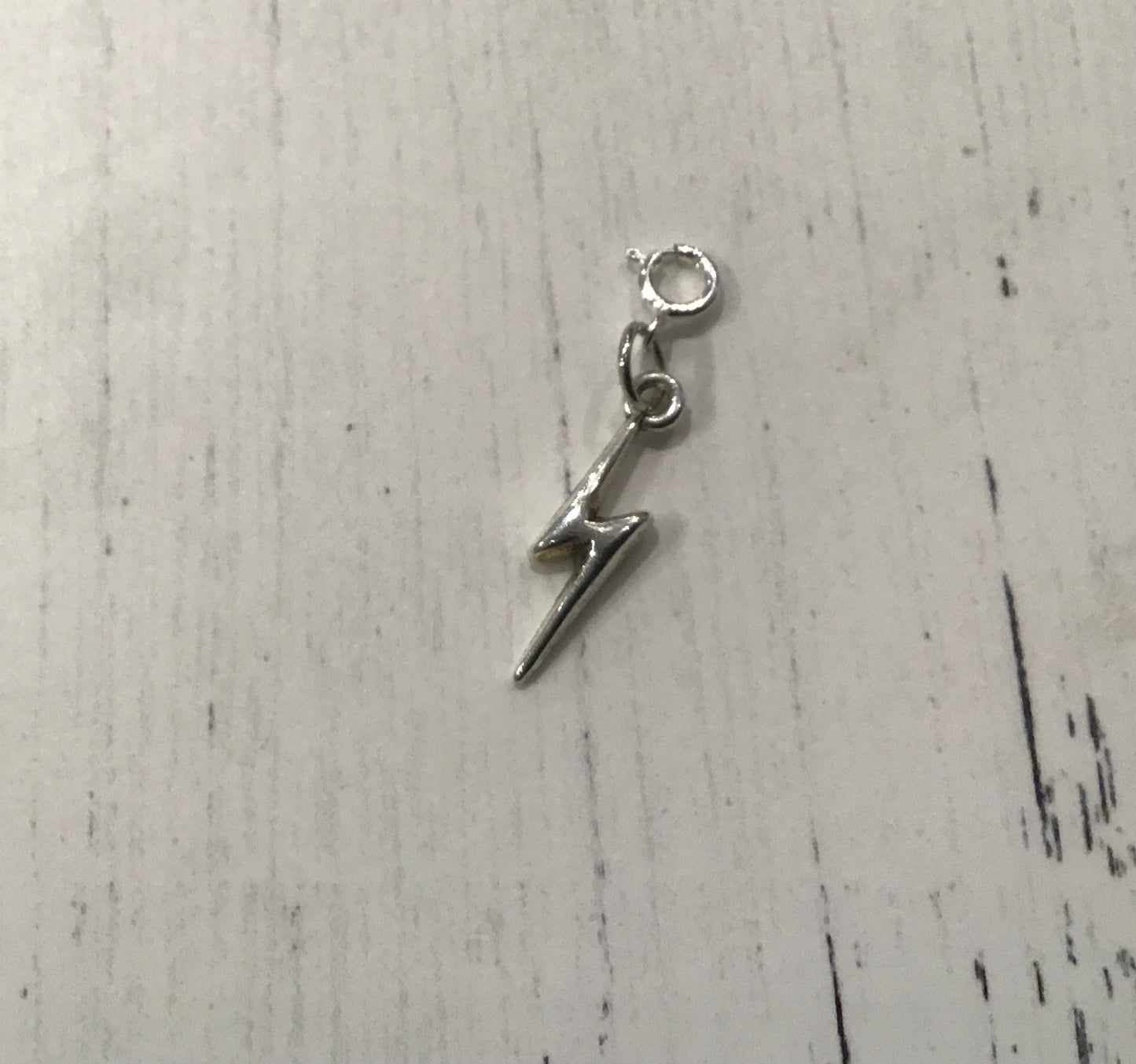 Charms with clasp - Painted Raven Designs