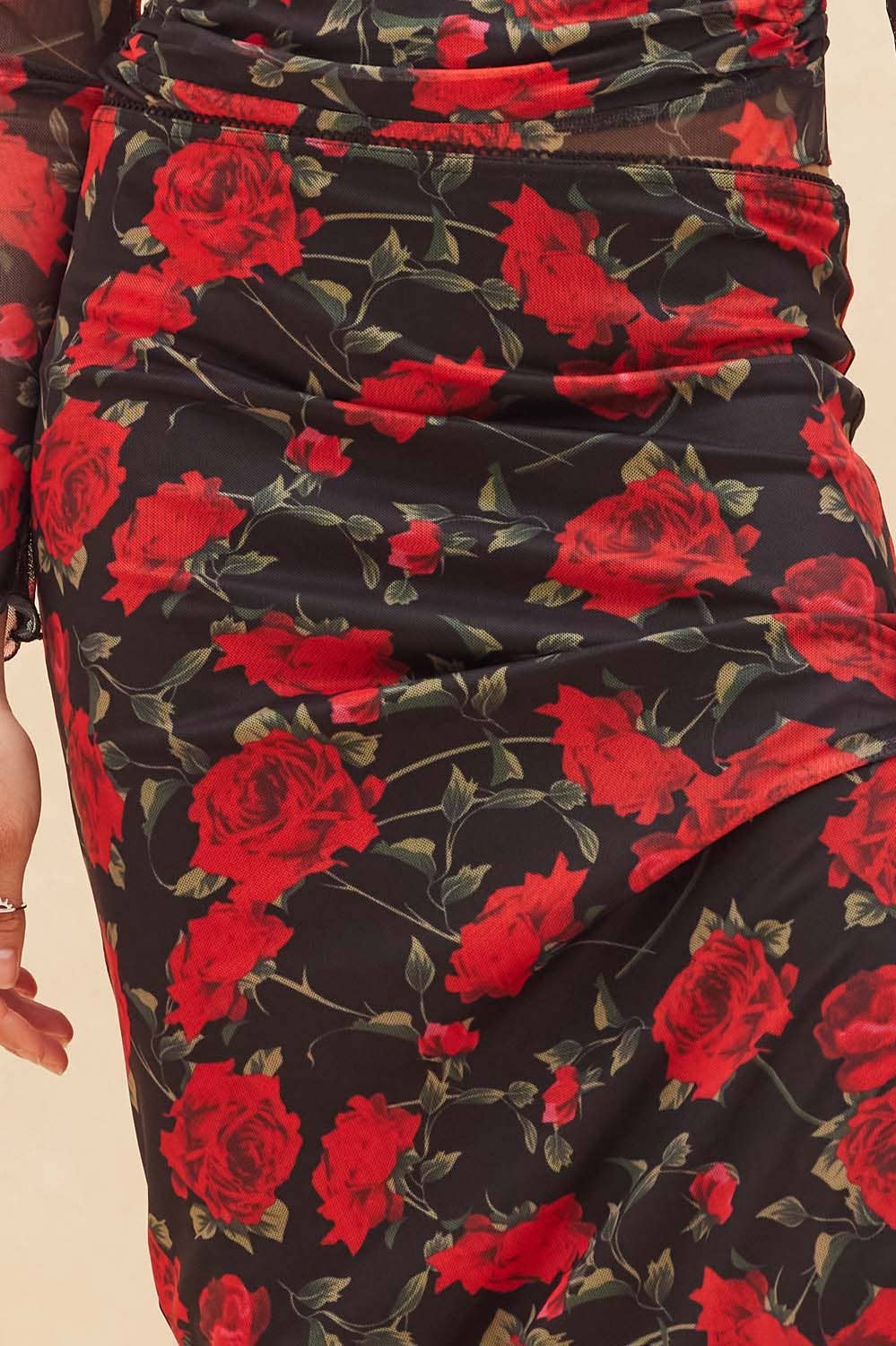 Ruby - Rose Print Mesh Straight Maxi Skirt