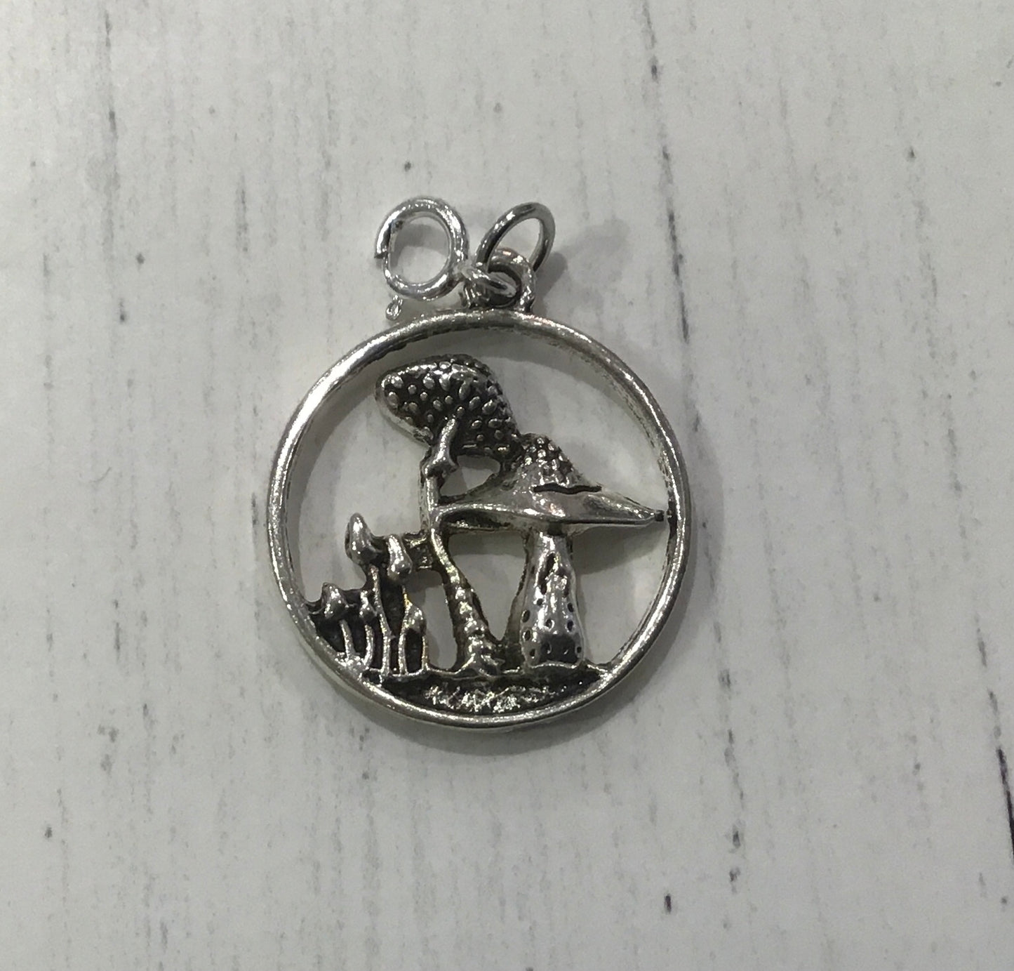 Charms with clasp - Painted Raven Designs