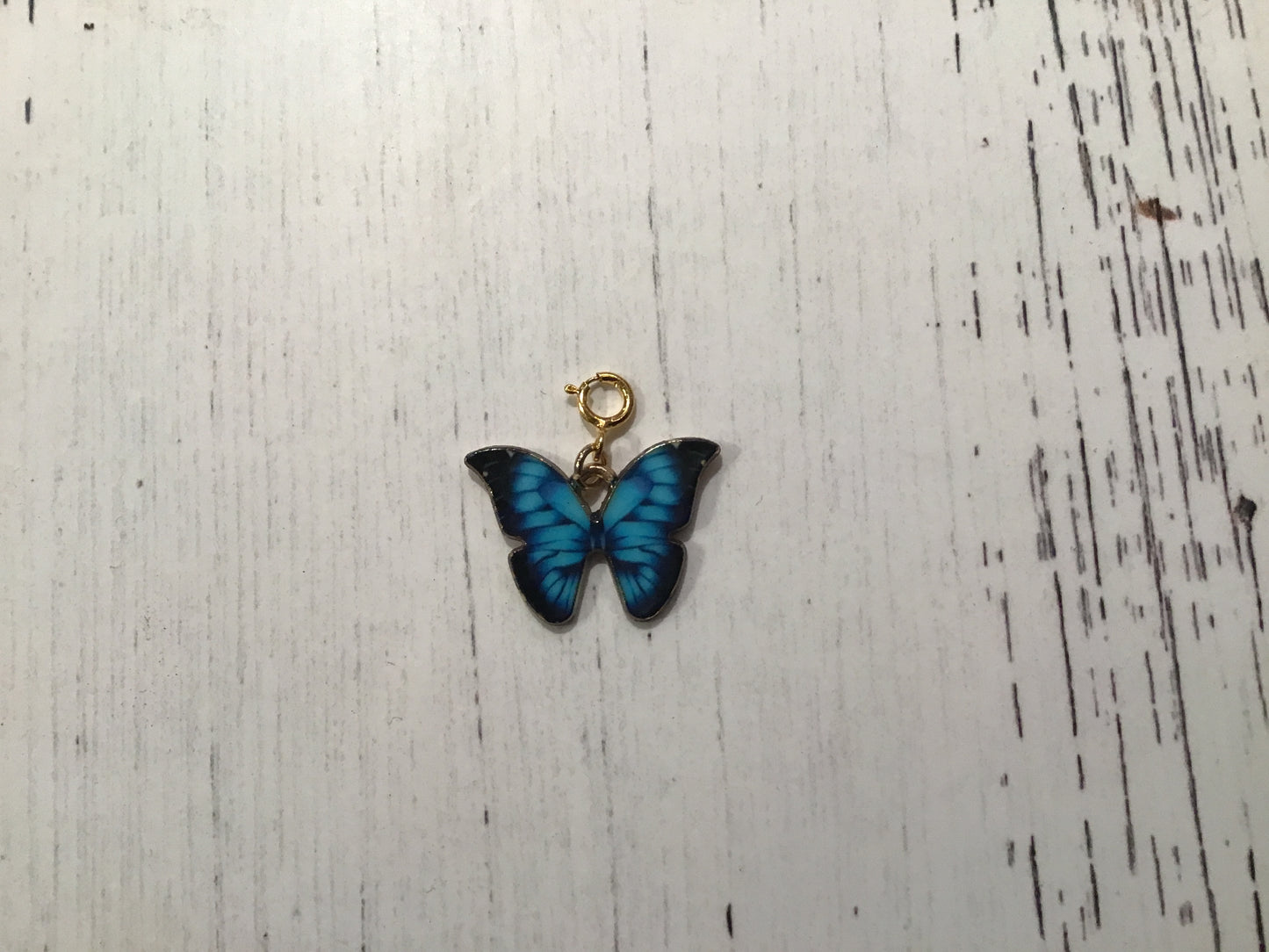 Charms with clasp - Painted Raven Designs