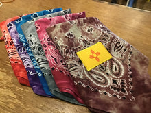 Pet & People Bandanas - Painted Raven